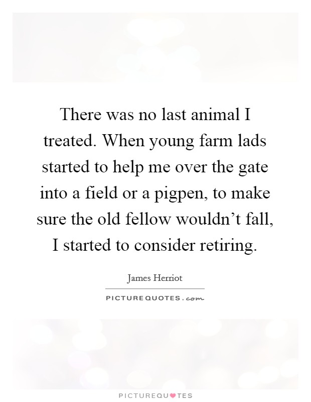 There was no last animal I treated. When young farm lads started to help me over the gate into a field or a pigpen, to make sure the old fellow wouldn't fall, I started to consider retiring. Picture Quote #1