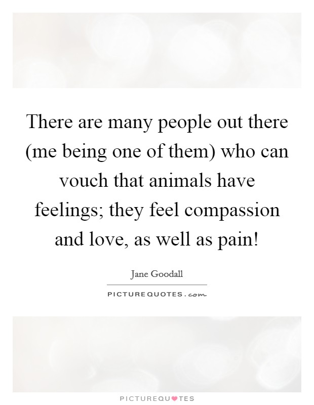 There are many people out there (me being one of them) who can vouch that animals have feelings; they feel compassion and love, as well as pain! Picture Quote #1