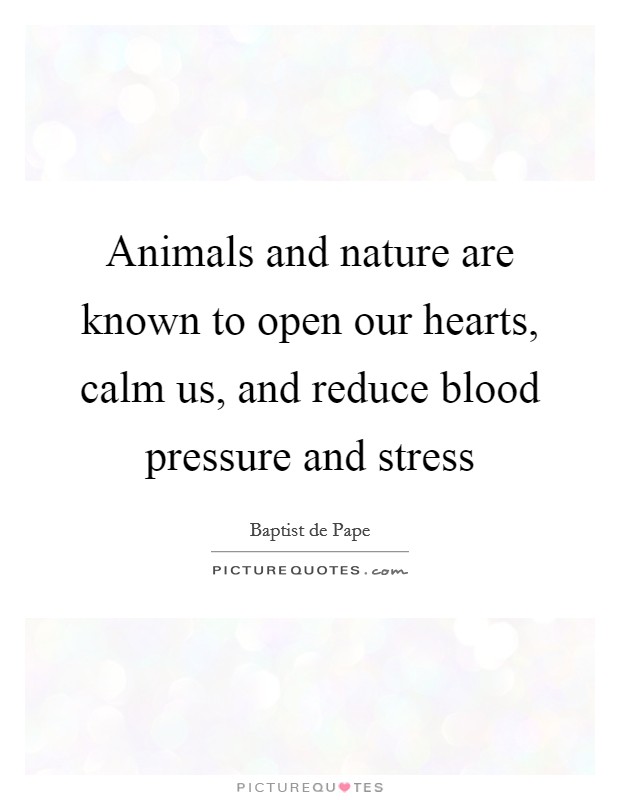 Animals and nature are known to open our hearts, calm us, and reduce blood pressure and stress Picture Quote #1
