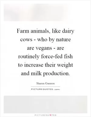 Farm animals, like dairy cows - who by nature are vegans - are routinely force-fed fish to increase their weight and milk production Picture Quote #1