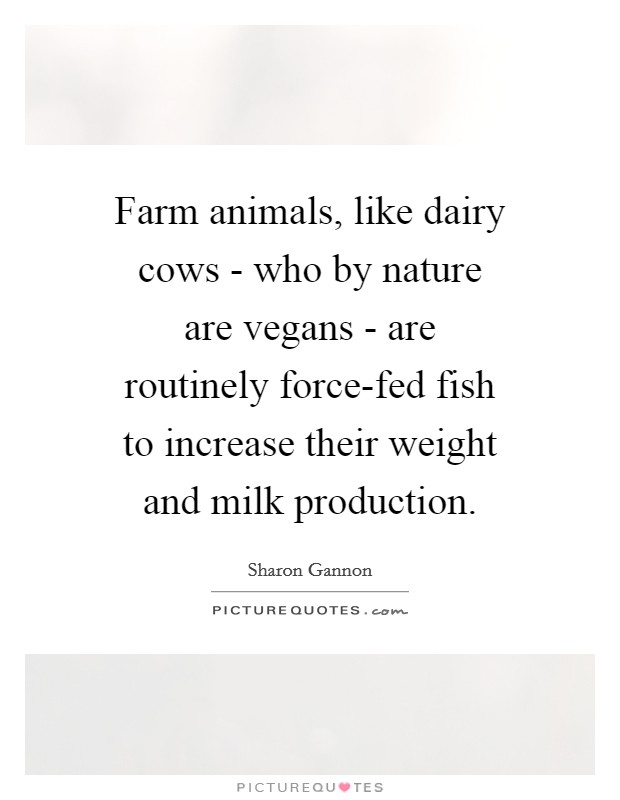 Farm animals, like dairy cows - who by nature are vegans - are routinely force-fed fish to increase their weight and milk production. Picture Quote #1