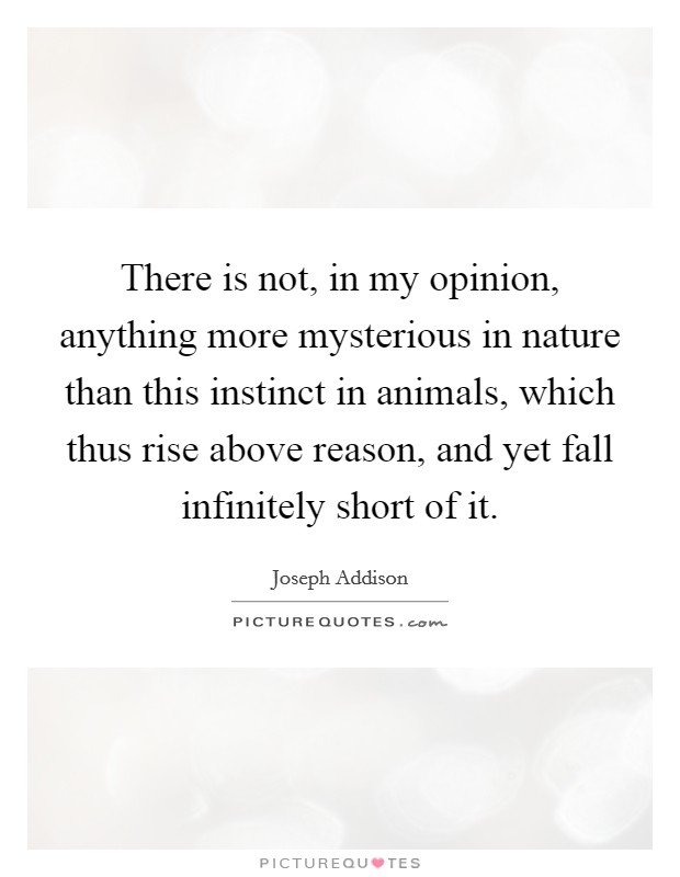 There is not, in my opinion, anything more mysterious in nature than this instinct in animals, which thus rise above reason, and yet fall infinitely short of it. Picture Quote #1