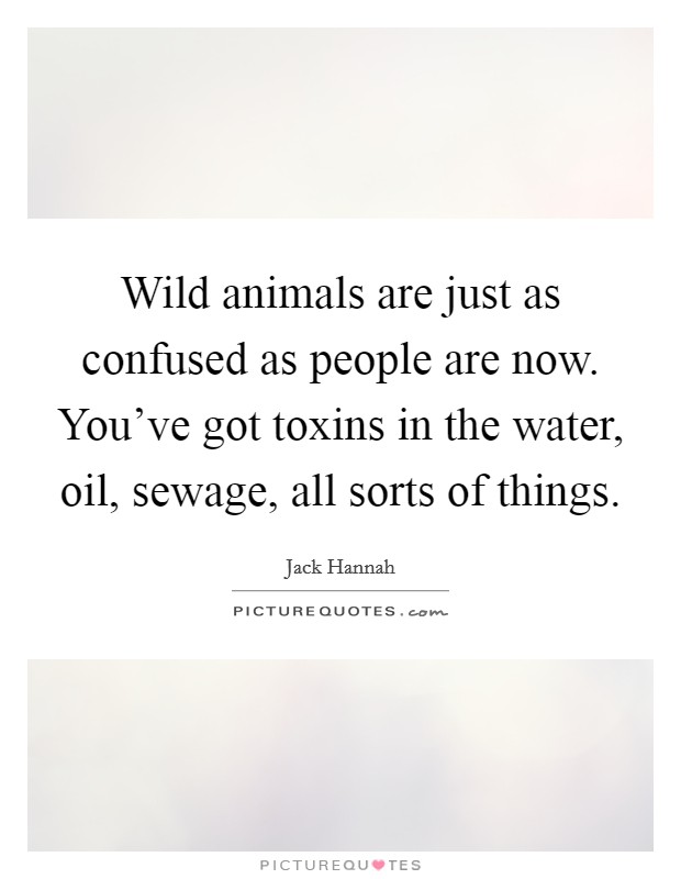Wild animals are just as confused as people are now. You've got toxins in the water, oil, sewage, all sorts of things. Picture Quote #1