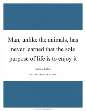 Man, unlike the animals, has never learned that the sole purpose of life is to enjoy it Picture Quote #1