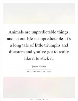 Animals are unpredictable things, and so our life is unpredictable. It’s a long tale of little triumphs and disasters and you’ve got to really like it to stick it Picture Quote #1