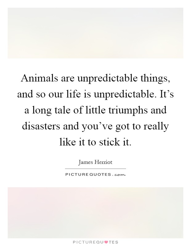 Animals are unpredictable things, and so our life is unpredictable. It's a long tale of little triumphs and disasters and you've got to really like it to stick it. Picture Quote #1