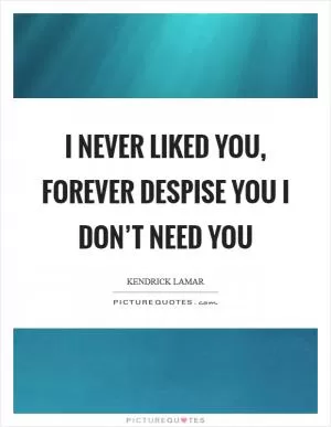 I never liked you, forever despise you I don’t need you Picture Quote #1