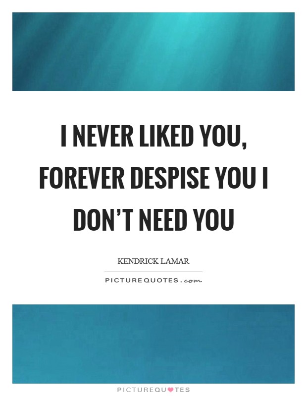 I never liked you, forever despise you I don't need you Picture Quote #1