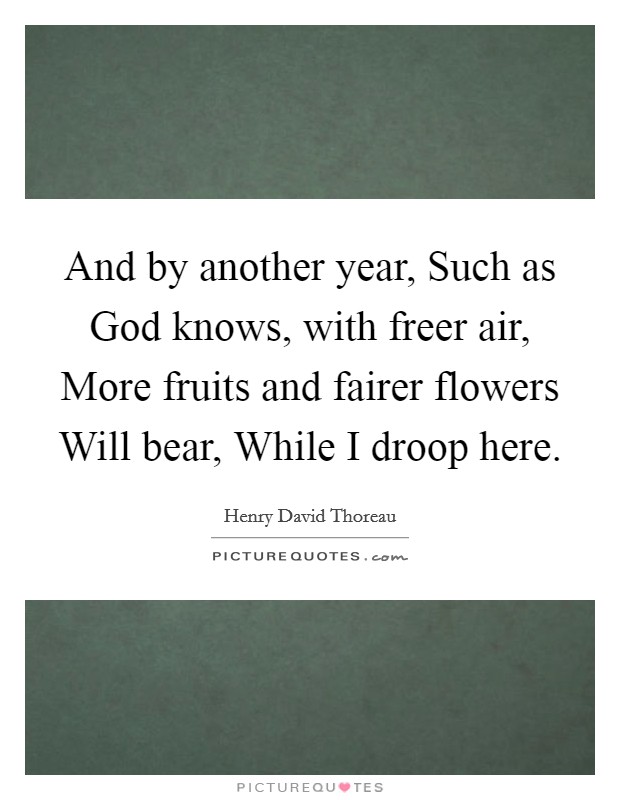 And by another year, Such as God knows, with freer air, More fruits and fairer flowers Will bear, While I droop here. Picture Quote #1