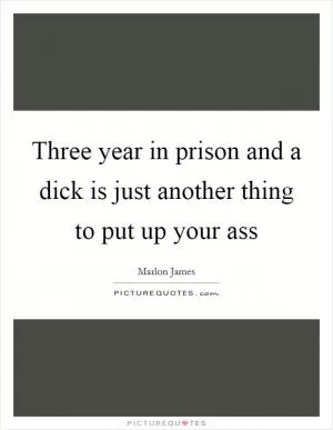 Three year in prison and a dick is just another thing to put up your ass Picture Quote #1