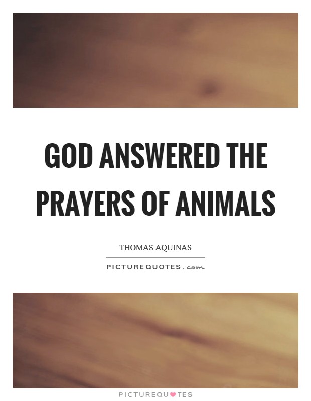 God answered the prayers of animals Picture Quote #1