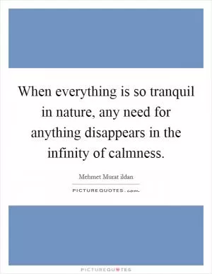 When everything is so tranquil in nature, any need for anything disappears in the infinity of calmness Picture Quote #1