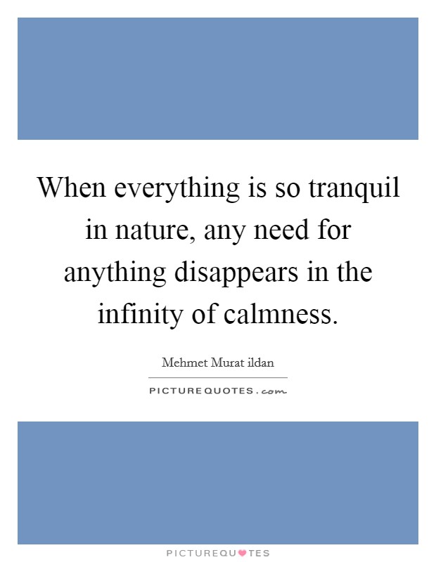 When everything is so tranquil in nature, any need for anything disappears in the infinity of calmness. Picture Quote #1