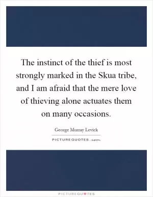 The instinct of the thief is most strongly marked in the Skua tribe, and I am afraid that the mere love of thieving alone actuates them on many occasions Picture Quote #1