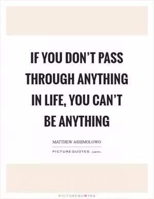 If you don’t pass through anything in life, you can’t be anything Picture Quote #1