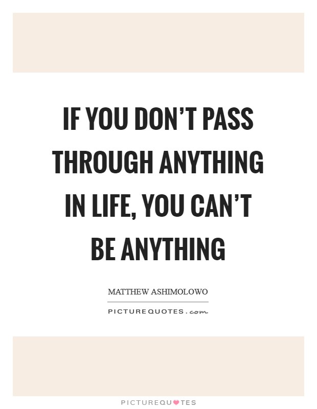 If you don't pass through anything in life, you can't be anything Picture Quote #1