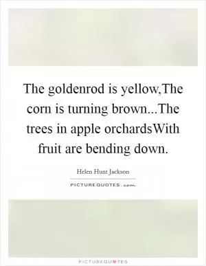 The goldenrod is yellow,The corn is turning brown...The trees in apple orchardsWith fruit are bending down Picture Quote #1