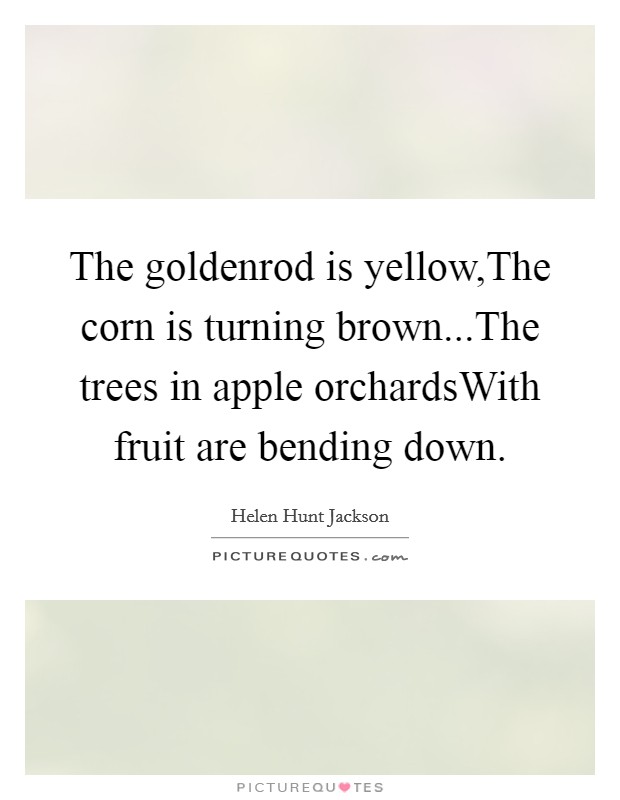 The goldenrod is yellow,The corn is turning brown...The trees in apple orchardsWith fruit are bending down. Picture Quote #1