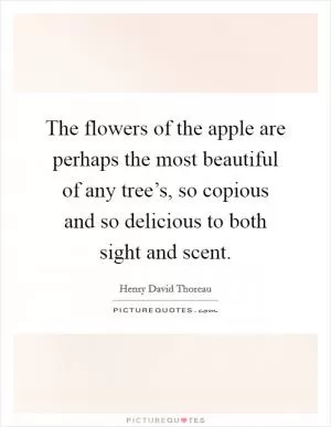 The flowers of the apple are perhaps the most beautiful of any tree’s, so copious and so delicious to both sight and scent Picture Quote #1