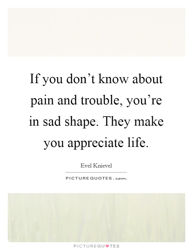 If you don't know about pain and trouble, you're in sad shape. They make you appreciate life. Picture Quote #1