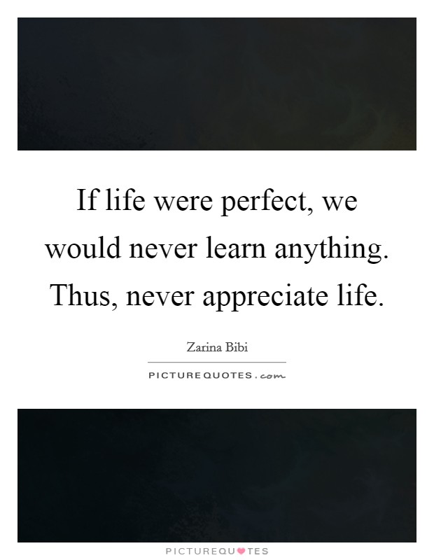 If life were perfect, we would never learn anything. Thus, never appreciate life. Picture Quote #1