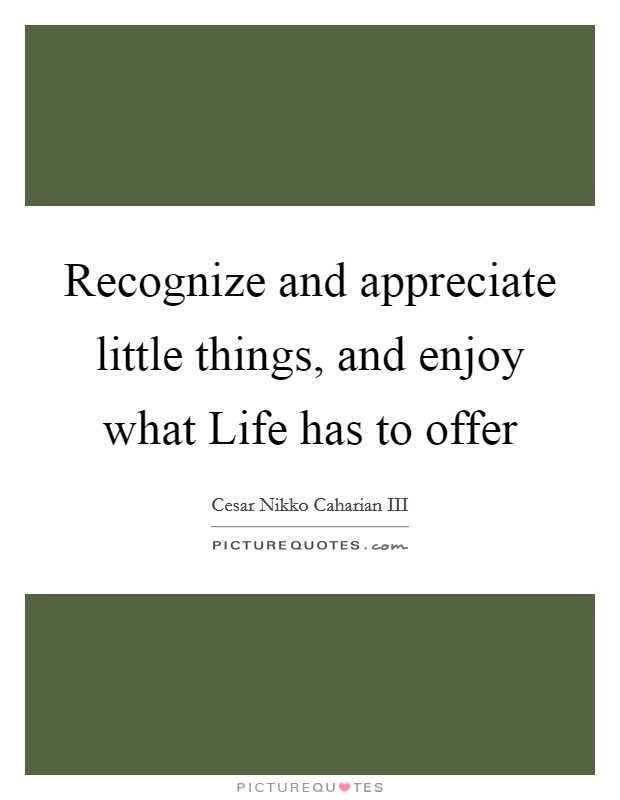 Recognize and appreciate little things, and enjoy what Life has to offer Picture Quote #1