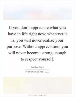 If you don’t appreciate what you have in life right now, whatever it is, you will never realize your purpose. Without appreciation, you will never become strong enough to respect yourself Picture Quote #1