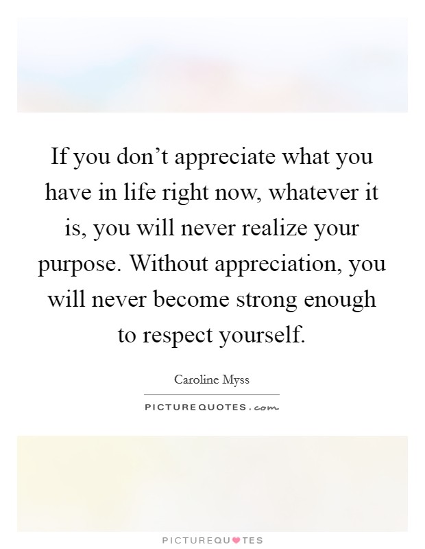 If you don't appreciate what you have in life right now, whatever it is, you will never realize your purpose. Without appreciation, you will never become strong enough to respect yourself. Picture Quote #1