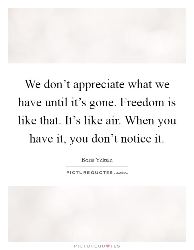 We don't appreciate what we have until it's gone. Freedom is like that. It's like air. When you have it, you don't notice it. Picture Quote #1