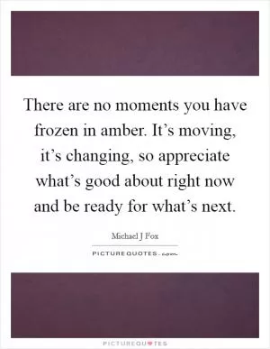 There are no moments you have frozen in amber. It’s moving, it’s changing, so appreciate what’s good about right now and be ready for what’s next Picture Quote #1