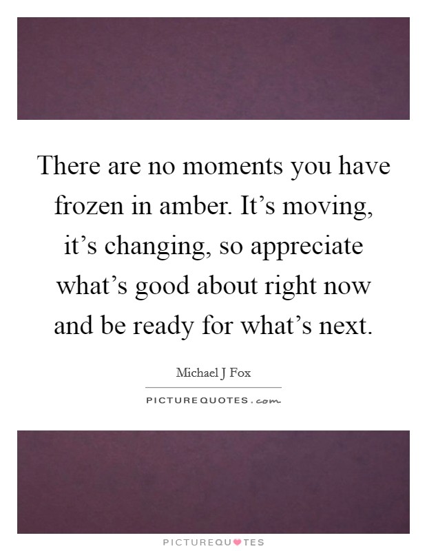 There are no moments you have frozen in amber. It's moving, it's changing, so appreciate what's good about right now and be ready for what's next. Picture Quote #1