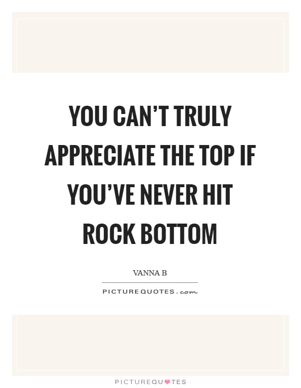 You can't truly appreciate the top if you've never hit rock bottom Picture Quote #1