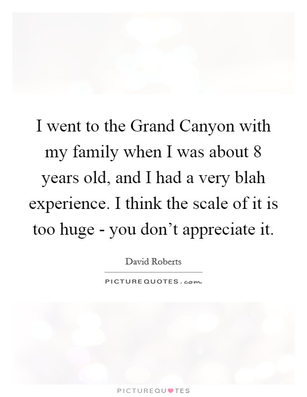 I went to the Grand Canyon with my family when I was about 8 years old, and I had a very blah experience. I think the scale of it is too huge - you don't appreciate it. Picture Quote #1