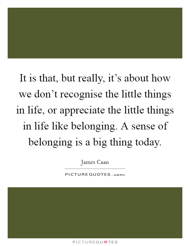 It is that, but really, it's about how we don't recognise the little things in life, or appreciate the little things in life like belonging. A sense of belonging is a big thing today. Picture Quote #1