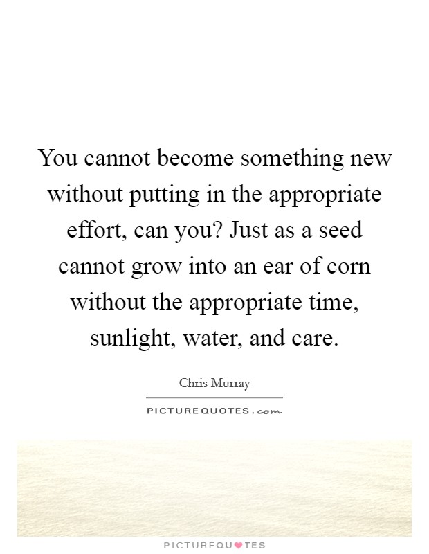 You cannot become something new without putting in the appropriate effort, can you? Just as a seed cannot grow into an ear of corn without the appropriate time, sunlight, water, and care. Picture Quote #1