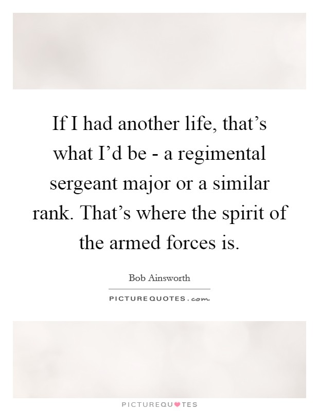If I had another life, that's what I'd be - a regimental sergeant major or a similar rank. That's where the spirit of the armed forces is. Picture Quote #1