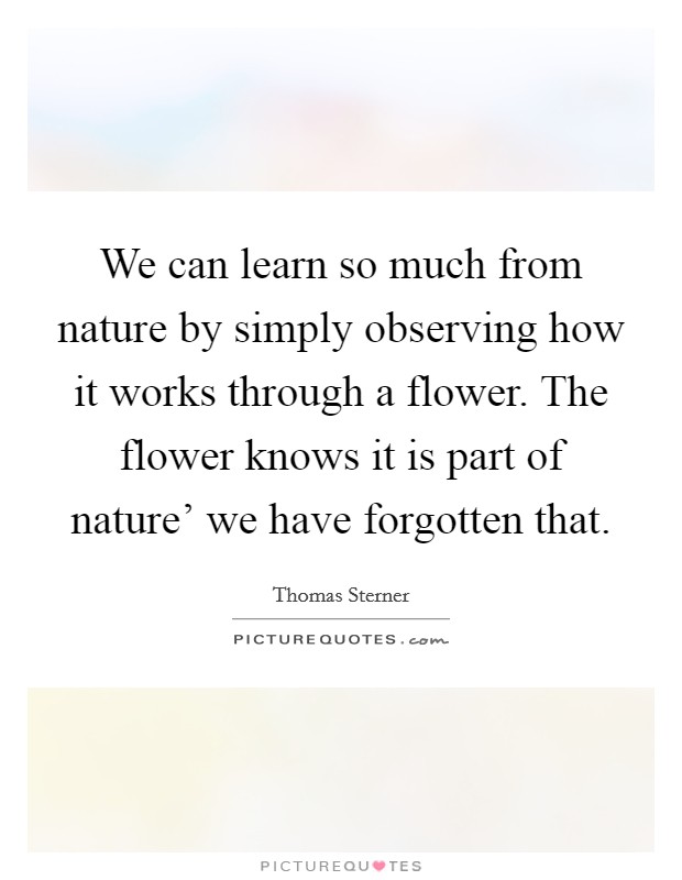 We can learn so much from nature by simply observing how it works through a flower. The flower knows it is part of nature' we have forgotten that. Picture Quote #1