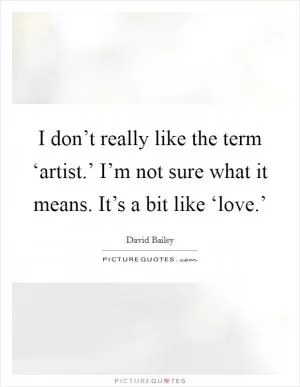 I don’t really like the term ‘artist.’ I’m not sure what it means. It’s a bit like ‘love.’ Picture Quote #1
