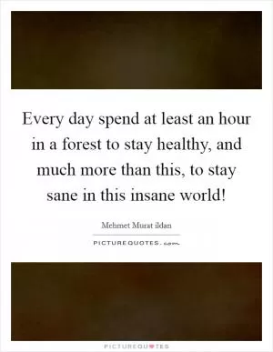 Every day spend at least an hour in a forest to stay healthy, and much more than this, to stay sane in this insane world! Picture Quote #1