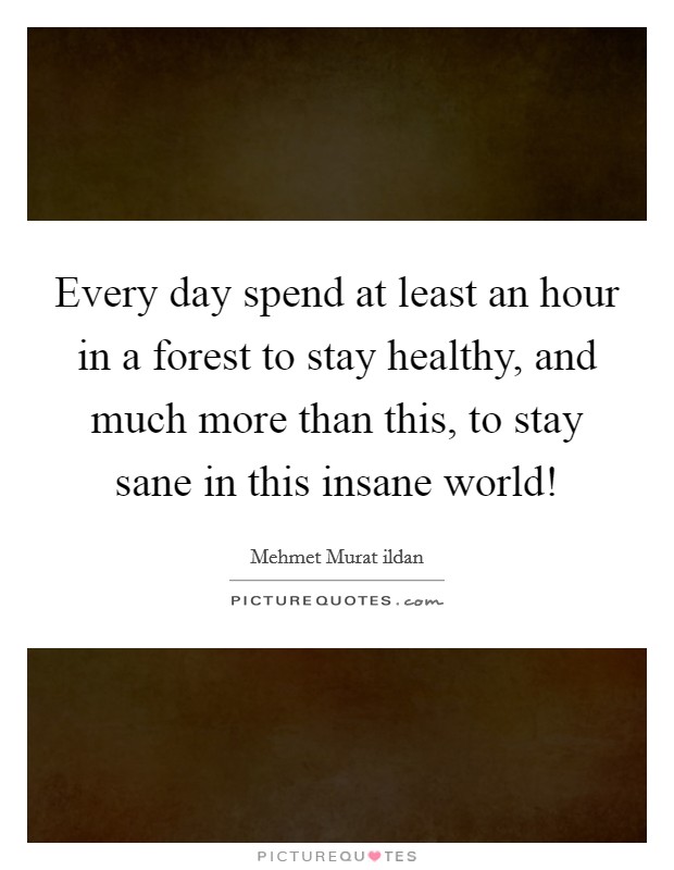 Every day spend at least an hour in a forest to stay healthy, and much more than this, to stay sane in this insane world! Picture Quote #1