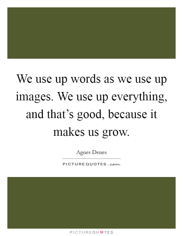 We use up words as we use up images. We use up everything, and that's good, because it makes us grow. Picture Quote #1