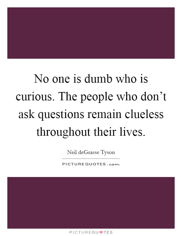 No one is dumb who is curious. The people who don't ask questions remain clueless throughout their lives. Picture Quote #1