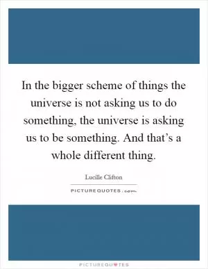 In the bigger scheme of things the universe is not asking us to do something, the universe is asking us to be something. And that’s a whole different thing Picture Quote #1