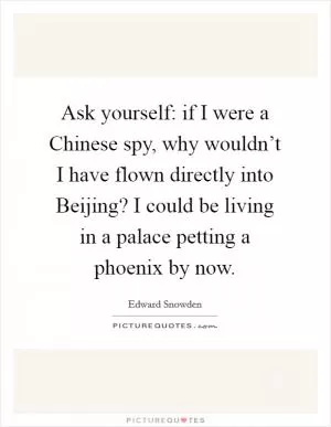 Ask yourself: if I were a Chinese spy, why wouldn’t I have flown directly into Beijing? I could be living in a palace petting a phoenix by now Picture Quote #1