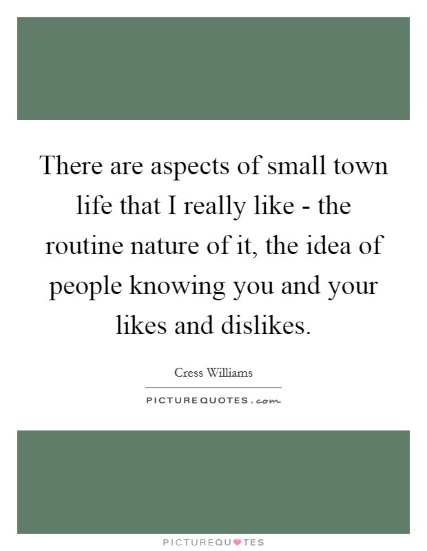 There are aspects of small town life that I really like - the routine nature of it, the idea of people knowing you and your likes and dislikes. Picture Quote #1