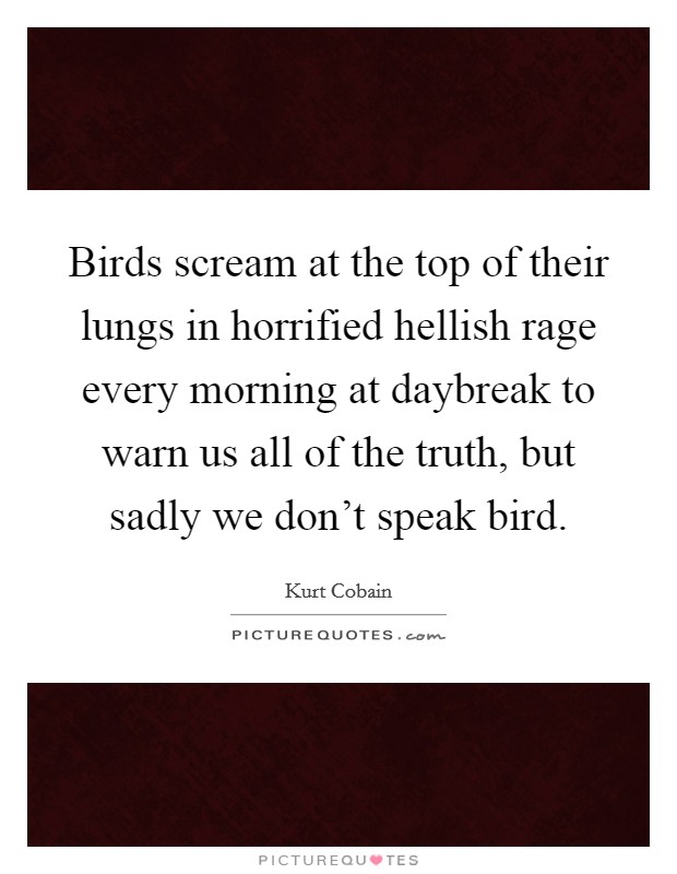 Birds scream at the top of their lungs in horrified hellish rage every morning at daybreak to warn us all of the truth, but sadly we don't speak bird. Picture Quote #1