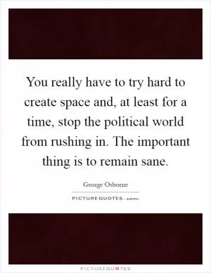 You really have to try hard to create space and, at least for a time, stop the political world from rushing in. The important thing is to remain sane Picture Quote #1