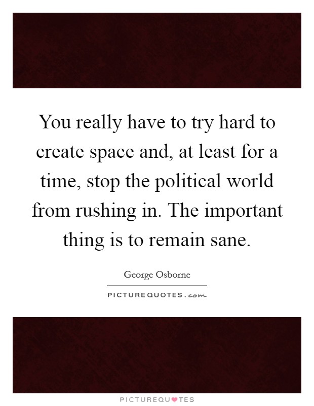 You really have to try hard to create space and, at least for a time, stop the political world from rushing in. The important thing is to remain sane. Picture Quote #1