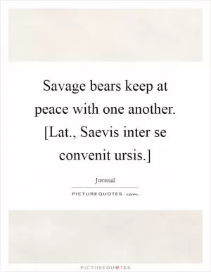 Savage bears keep at peace with one another. [Lat., Saevis inter se convenit ursis.] Picture Quote #1