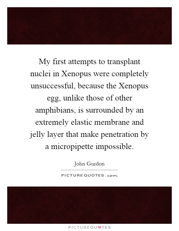 My first attempts to transplant nuclei in Xenopus were completely unsuccessful, because the Xenopus egg, unlike those of other amphibians, is surrounded by an extremely elastic membrane and jelly layer that make penetration by a micropipette impossible. Picture Quote #1